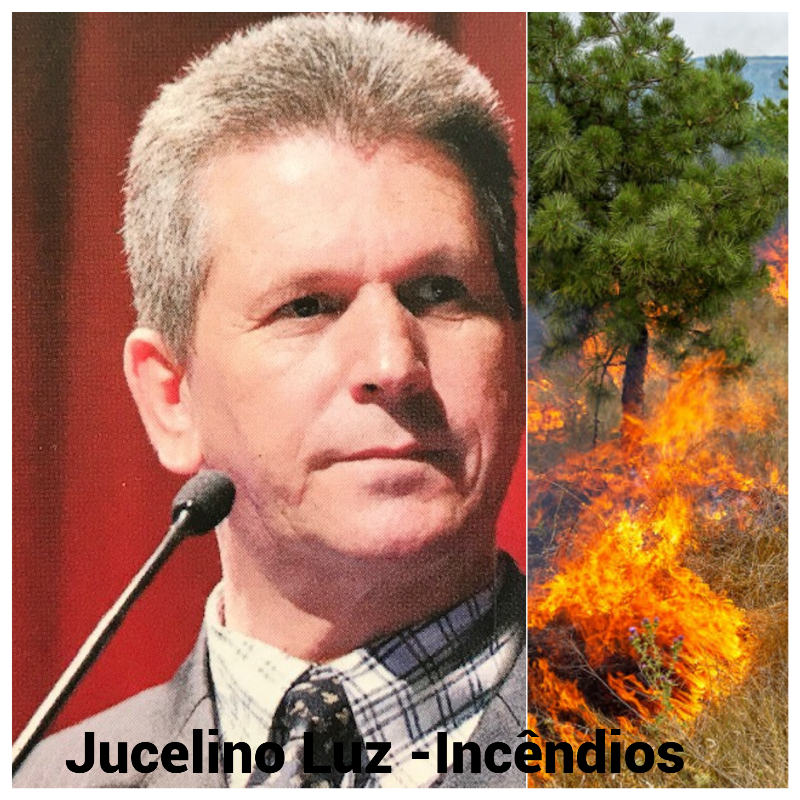 주셀리누 루즈의 2025년 10월 예측.